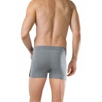 Schiesser  Boxer - Cotton Essentials - lot de 2 boxers - Gris
