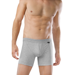 Schiesser boxer 2-pack Authentic shorts homme gris 10% de réduction pour une durée limitée ! Schiesser boxer 2-pack Authentic shorts homme gris 10% de réduction pour une durée limitée !