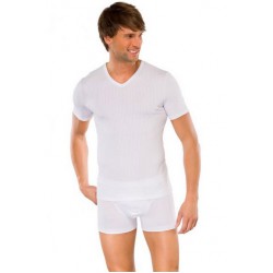 Schiesser T-shirt - manches courtes - Authentic - 2-pack - lot de 2 blanc Schiesser T-shirt - manches courtes - Authentic - 2-pack - lot de 2 blanc