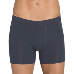 Sloggi EverNew Boxer H - gris - OFFRE TEMPORAIRE AVEC UNE REMISE DE 25 % !
