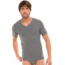 Schiesser T- Shirt  95/5  V-Neck  gris