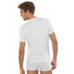 Schiesser T- Shirt  95/5  V-Neck  